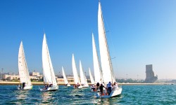Regattas